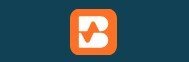 bigy-a.info, bigeyana.com, bigey-ana.ltd &mdash; разоблачаем фальшивых брокеров. Как вернуть деньги. Отзывы